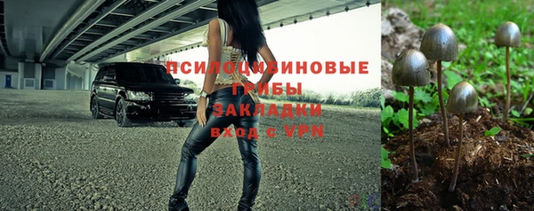 твердый Елизово