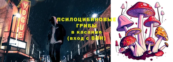 бошки Заволжье