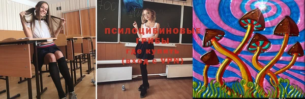 твердый Елизово