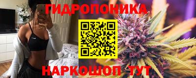 круглые Гусев