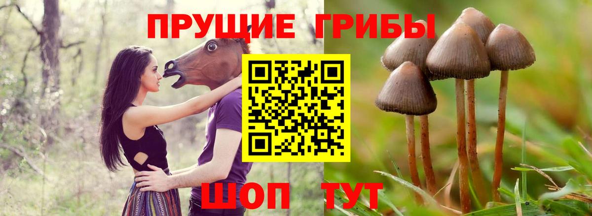 Галлюциногенные грибы мухоморы  Вход с VPN  Галлюциногенные грибы Psilocybe  Миасс 